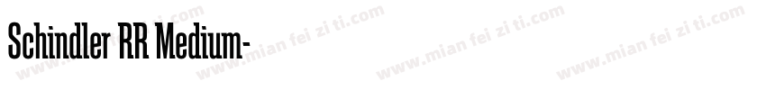 Schindler RR Medium字体转换